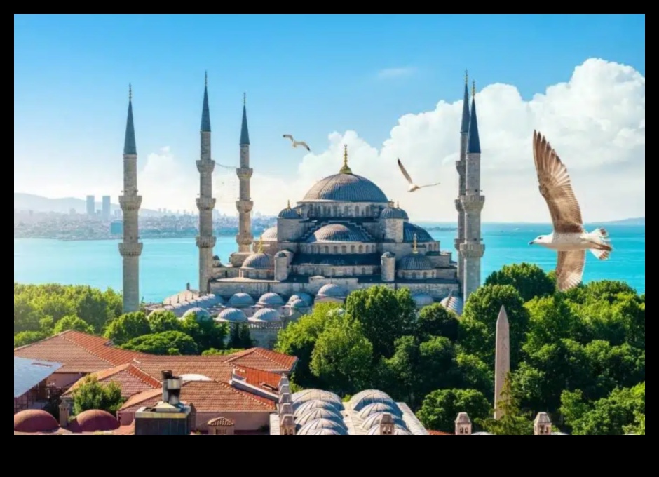 Monumente în timp Un tur al minunilor istorice globale O călătorie prin veacuri, explorând cele mai emblematice repere ale lumii. 2 Monumente în timp: un tur al minunilor istorice globale